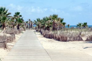 Playa Del Pinar